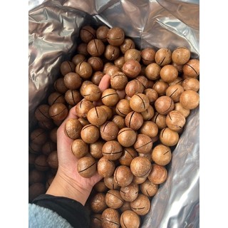 HẠT MACCA ĐĂK LĂK LOẠI 1(MẮC CA SẤY CHÍN) 500GR