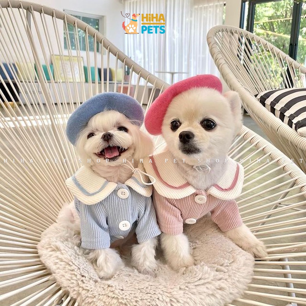 Nón Cho Chó Mèo Bánh Tiêu, Mũ Cho Thú Cưng Nhiều Màu Sắc Hihapet