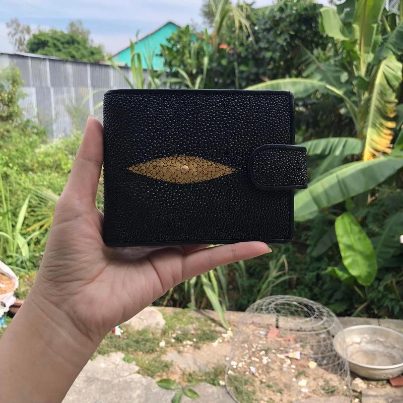 Ví đuối mắt vàng