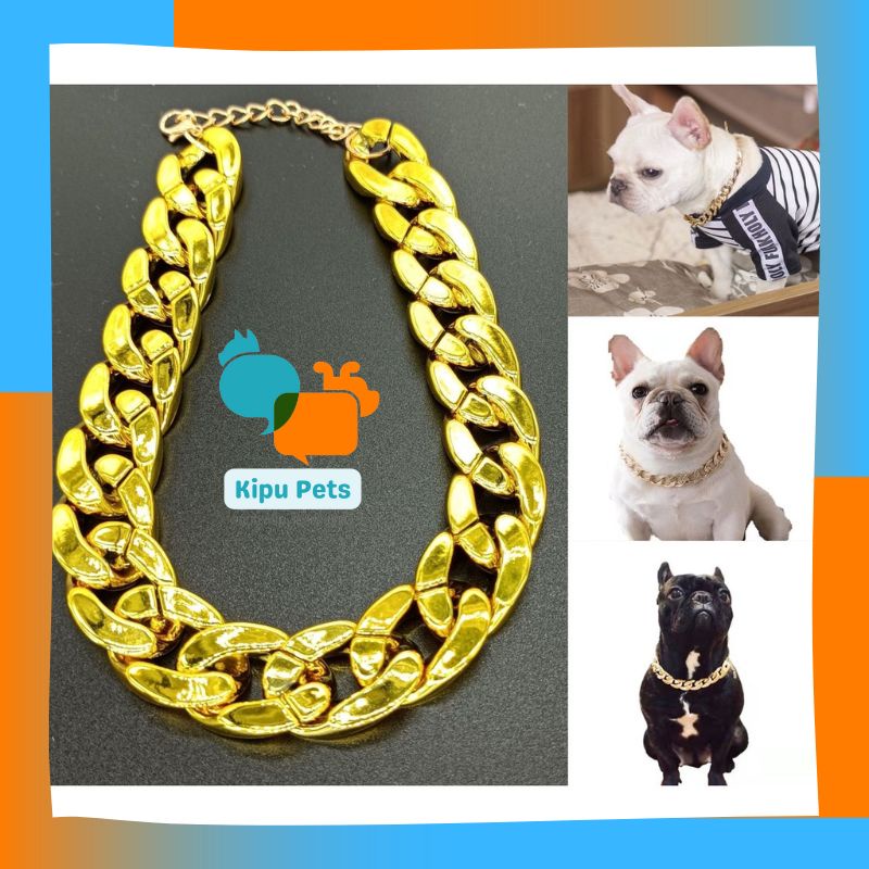 Dây Chuyền Cho Thú Cưng - Vòng Cổ Mạ Vàng Cho Chó Mèo - Kipu Pets
