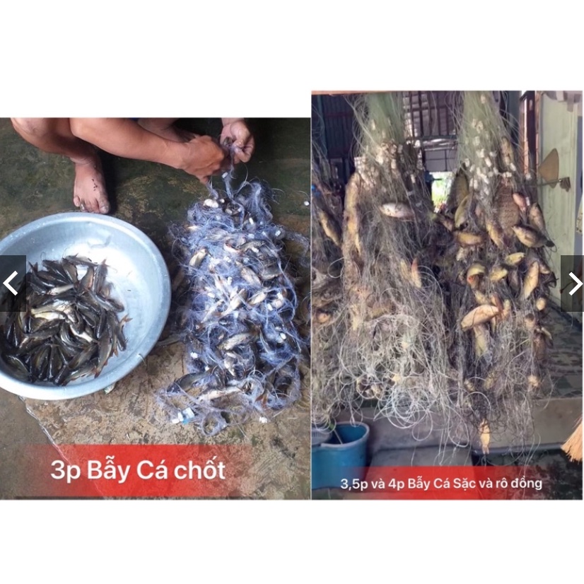 Lưới giăng cá 3 màn Thái Lan tay 50m cao 90cm,ô mắt 10 phân đánh cá tra, tai tượng, mè, vinh
