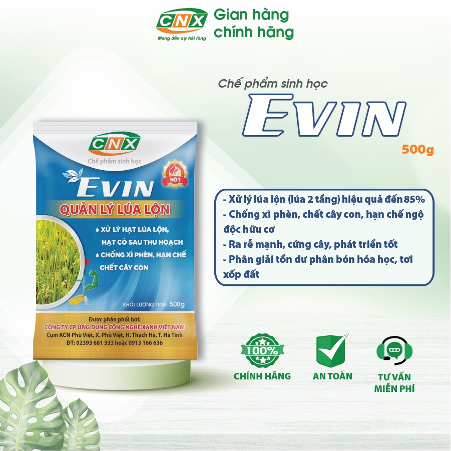 Chế phẩm sinh học EVIN quản lý lúa ma, lúa lộn, lúa 2 tầng, lúa cơi hiệu quả, an toàn, giúp ra rễ mạnh - CNX 500G