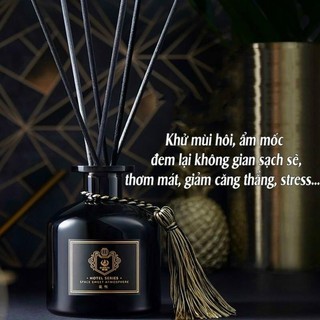Tinh Dầu Nước Hoa Để Phòng Mẫu Mới