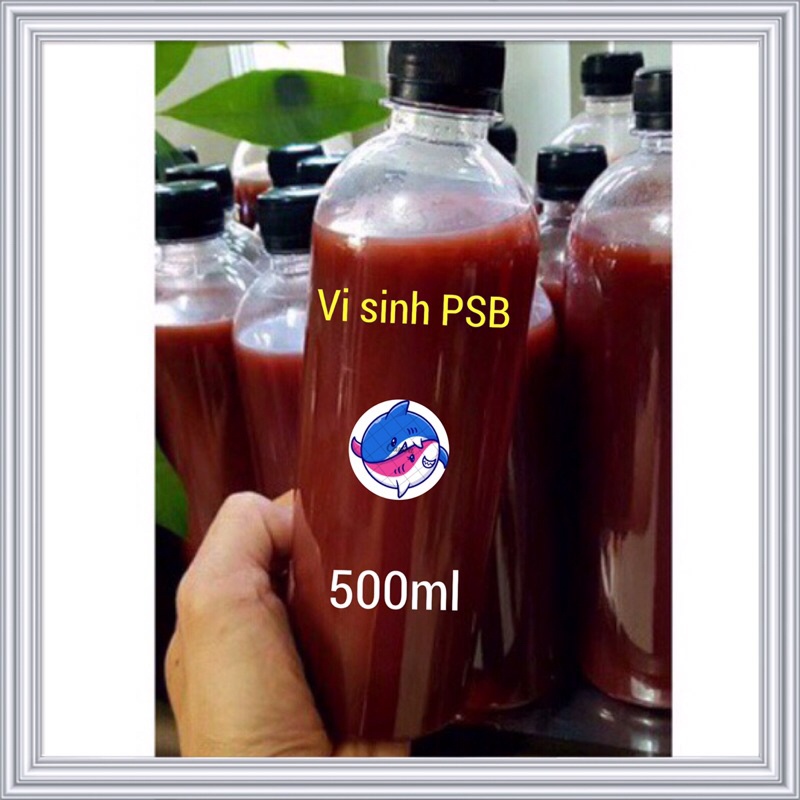 500ml Vi Sinh PSB Đậm Đặc Làm Trong Nước Bể Cá