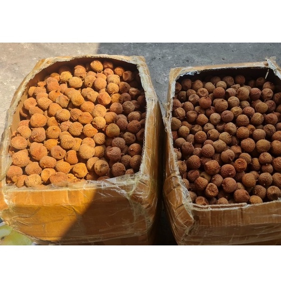 500g vải thiều Lục Ngạn sấy- LOẠI 1- vải sấy