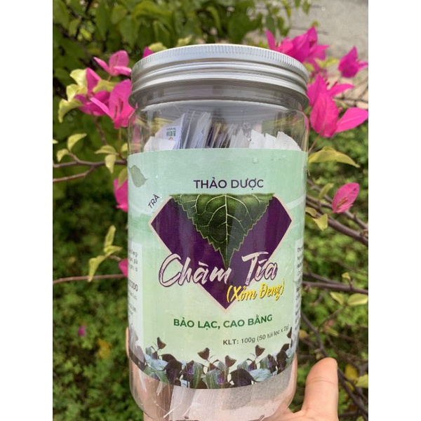 Trà thảo dược Chàm Tía (Xỏm Đeng) Bảo Lạc Cao Bằng hỗ trợ giải độc gan, bảo vệ gan, thanh nhiệt, lợi mật, lợi tiểu