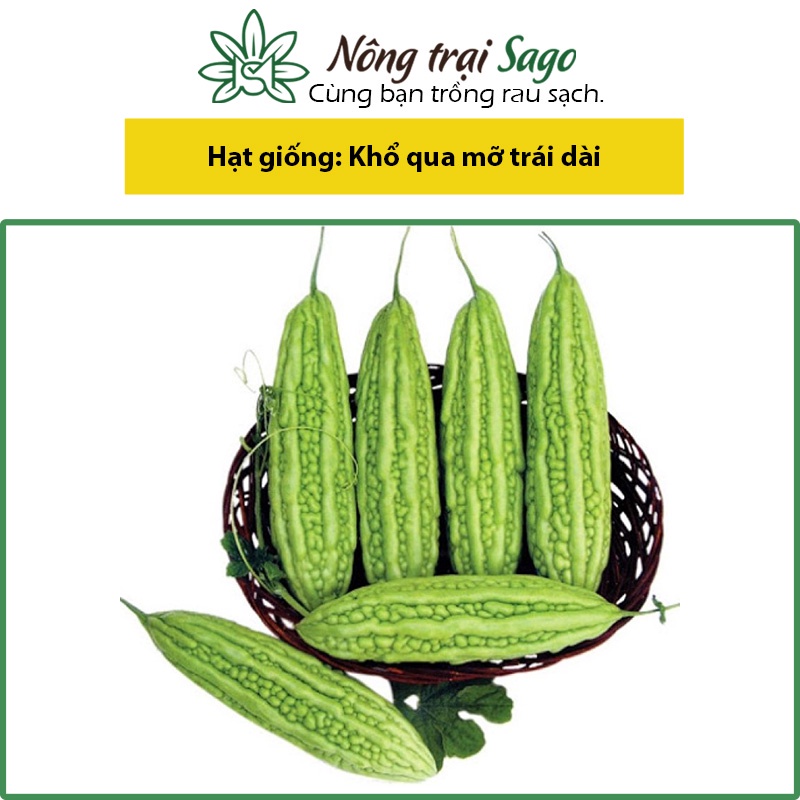 Hạt giống Khổ qua mỡ trái dài 17-20 cm (gói 2g) dễ trồng, cây sinh trưởng khỏe - Hạt giống rau củ quả Nông Trại Sago