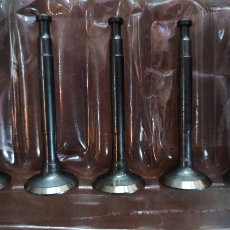 Xupap 152, nấm 152,152F