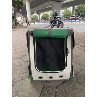 BA LO CHÓ MÈO LOẠI TO