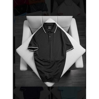 Áo Thun Polo Nam Basic cổ bẻ vải Cá Sấu