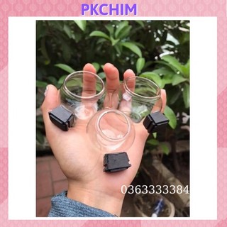 Cóng chào mào cóng ăn thủy tinh chào mào tai mun Pkchim phụ kiện chim cảnh