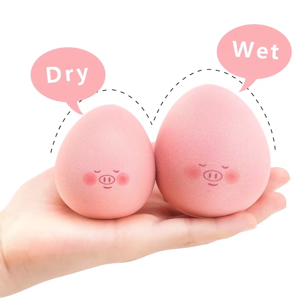 Trang điểm ướt và khô. Con lợn dễ thương.