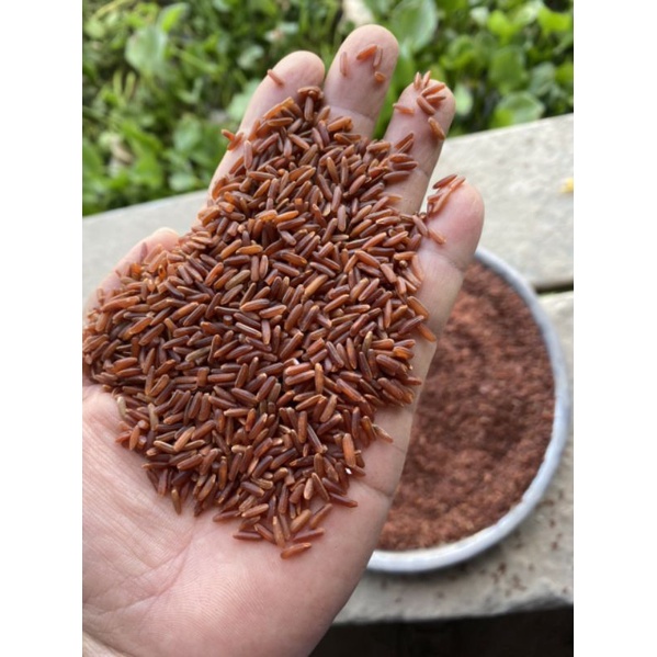 gạo lứt huyết rồng_ gạo ăn kiêng loại 1