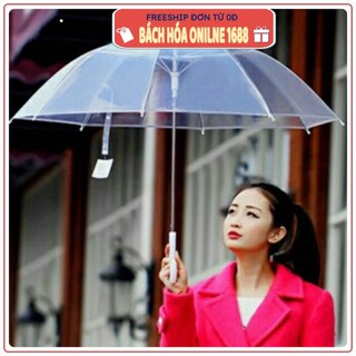 Ô trong suốt cán dài có tay cầm, ô trong suốt hàn quốc gg 1