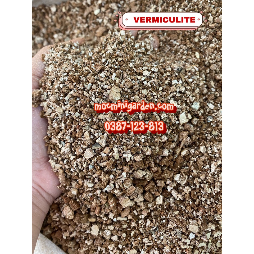 01Kg Đá Vermiculite (Vermi)_Thành phần kích rễ cho sen đá siêu tự nhiên và nhanh chóng || Mocminigarden
