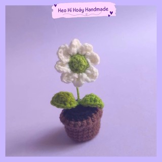 Chậu hoa cúc len mini nhụy xanh quà tặng handmade by heo hí hoáy
