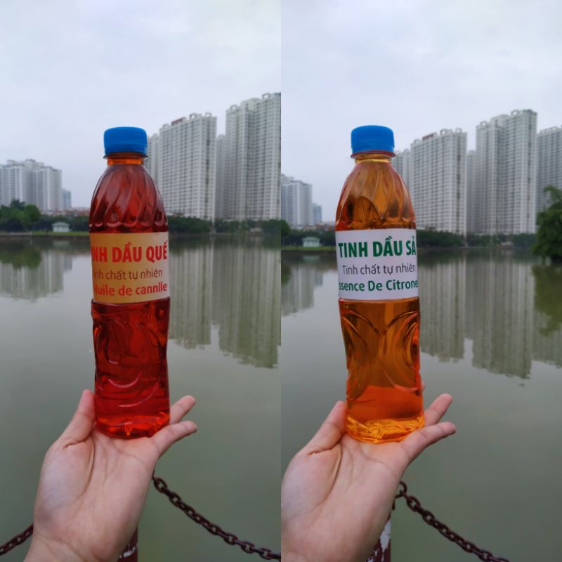 COMBO 5 CHAI TINH DẦU SẢ, QUẾ LOẠI 500ml/ CHAI