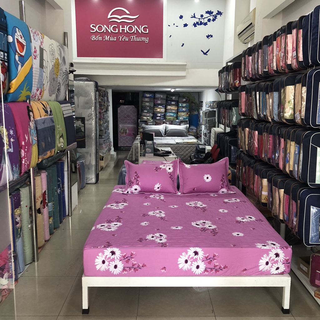 Bộ ga chun 160 x 200 Sông Hồng chất cotton loại có chần