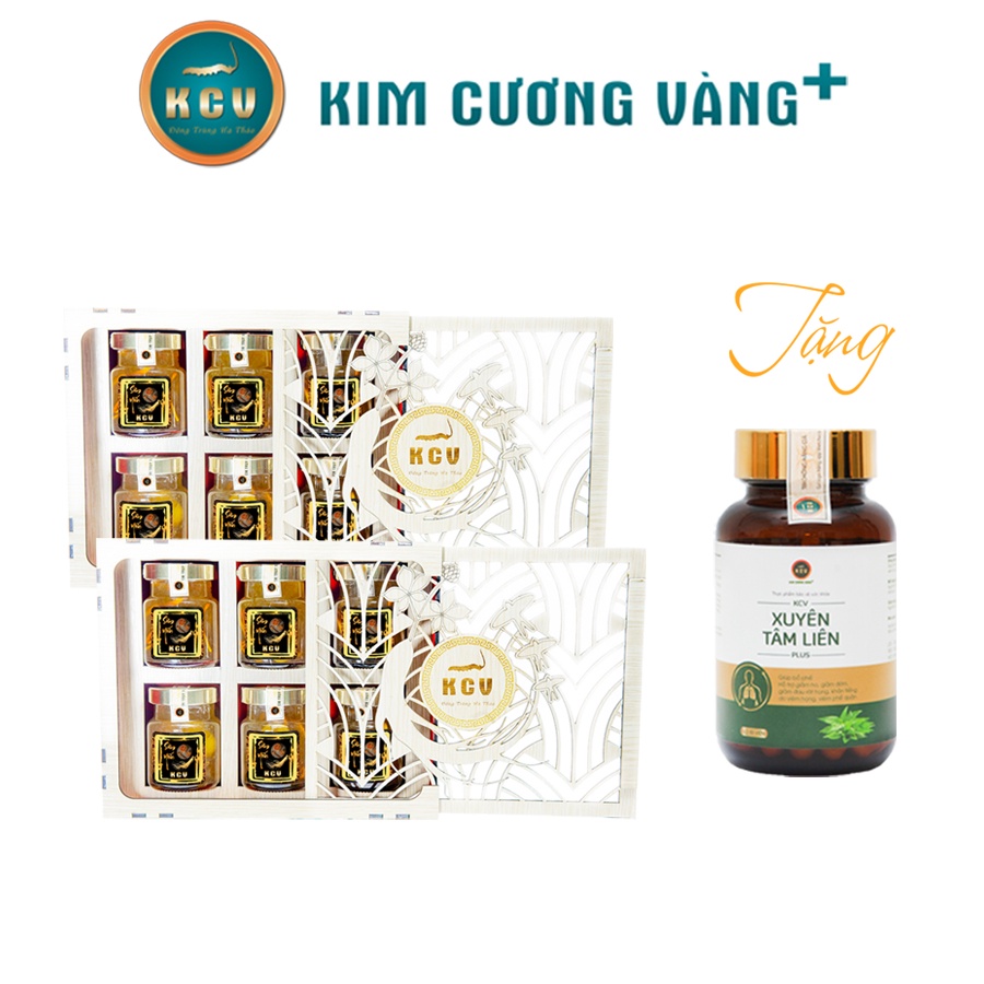 Combo 2 Hộp Sâm Yến Đông Trùng Hạ Thảo - Tặng 1 Hộp Xuyên Tâm Liên