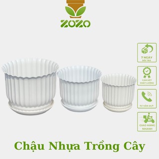 Chậu nhựa ZOZO tròn sọc trồng cây cực xinh đủ size kèm đĩa lót