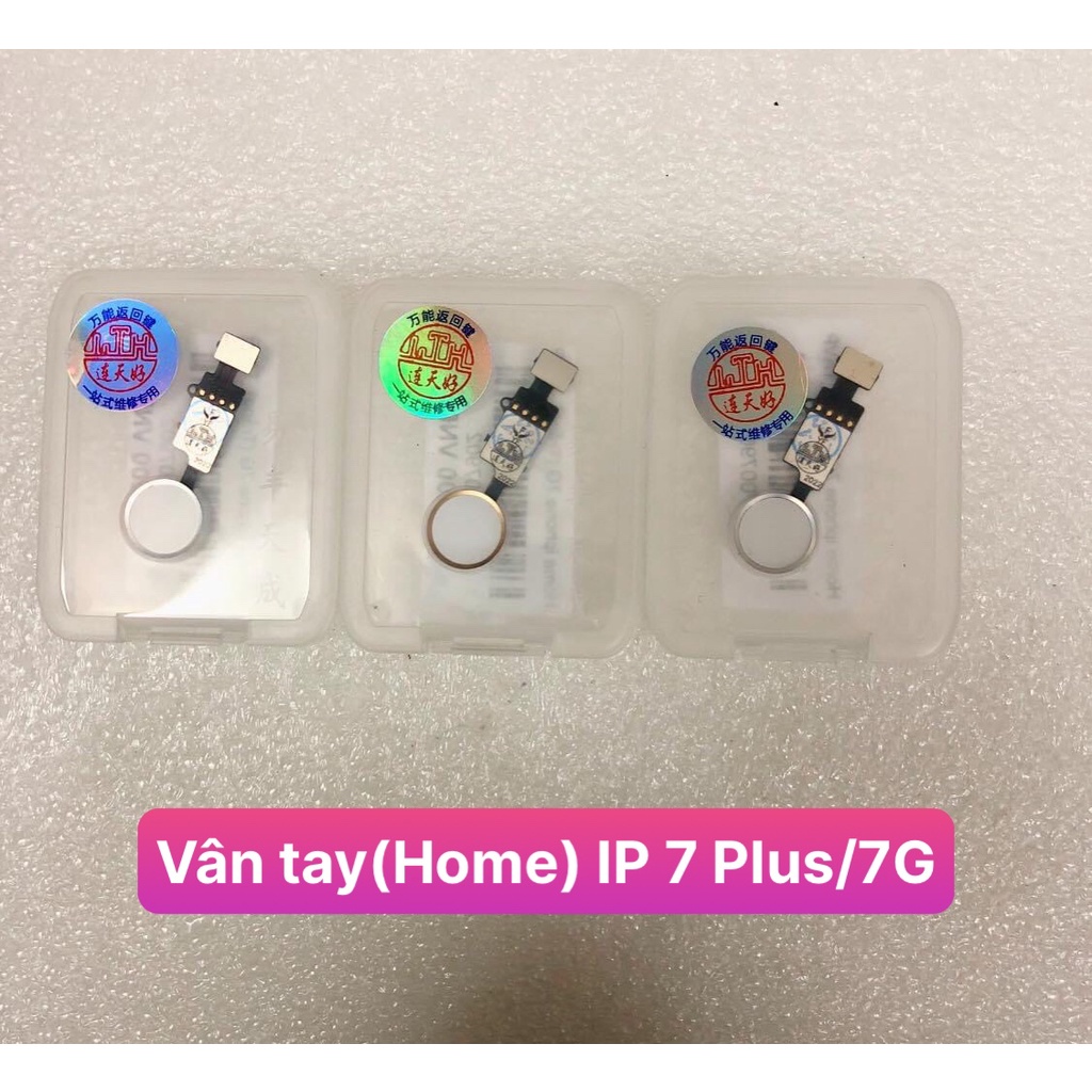 Vân tay  IP 7 Plus/7G