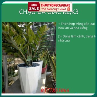 Chậu Nhựa Kim Cương Trắng Đa Giác K2,K3 Nhiều Kích cỡ Trồng Hoa Lan, Cây cảnh- Chậu Nhựa Bền, Đẹp, Nhẹ, Đa Năng