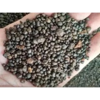 Sạn suối nâu trải nền thủy sinh