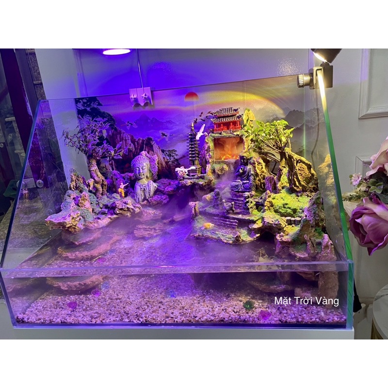 Hồ cá bán cạn tiểu cảnh kết hợp với thác nước phong thuỷ