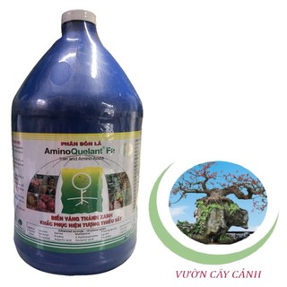 Phân bón lá amino quelant fe - #069a# 1gallon