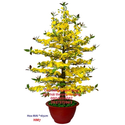 CHẬU HOA MAI GIẢ TRANG TRÍ TẾT CAO 1m65 (hm7)