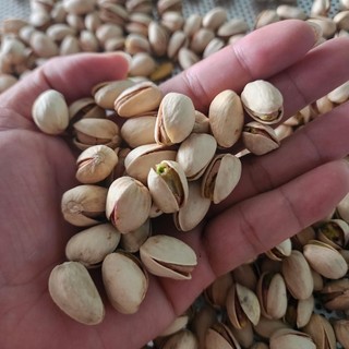 Hạt dẻ cười rang muối còn vỏ-500gram