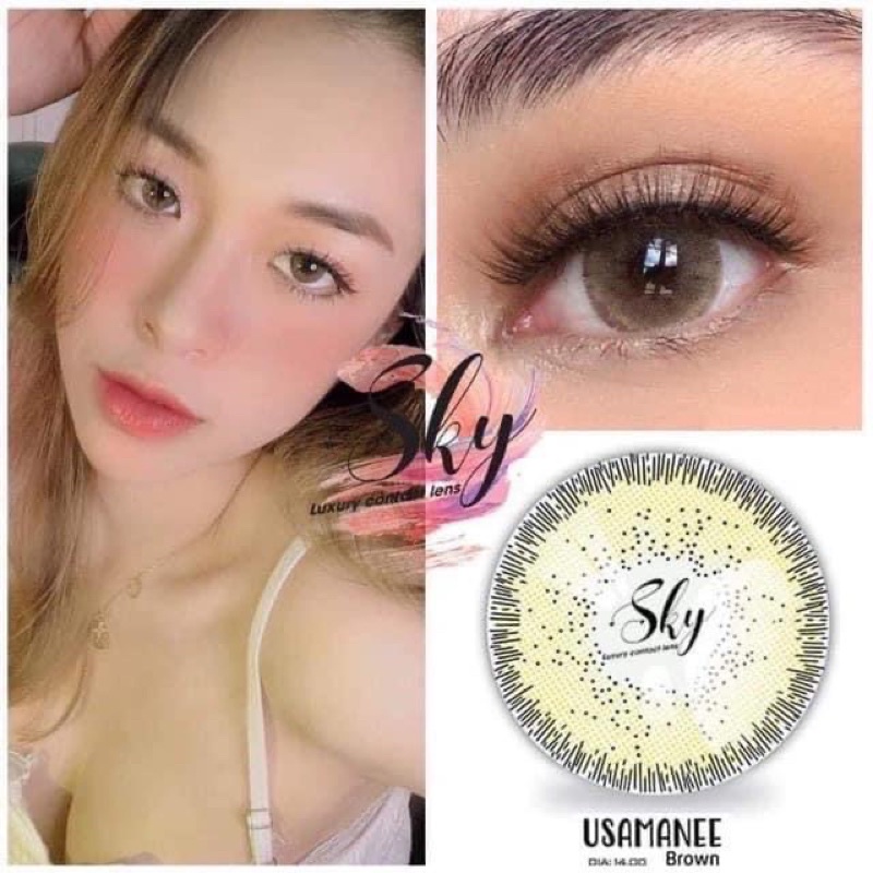 Lens Mắt Kính Áp Tròng Nâu Xám Tây Giãn bé size S( TẶNG KÈM KHAY ĐƠN ĐỰNG LENS)