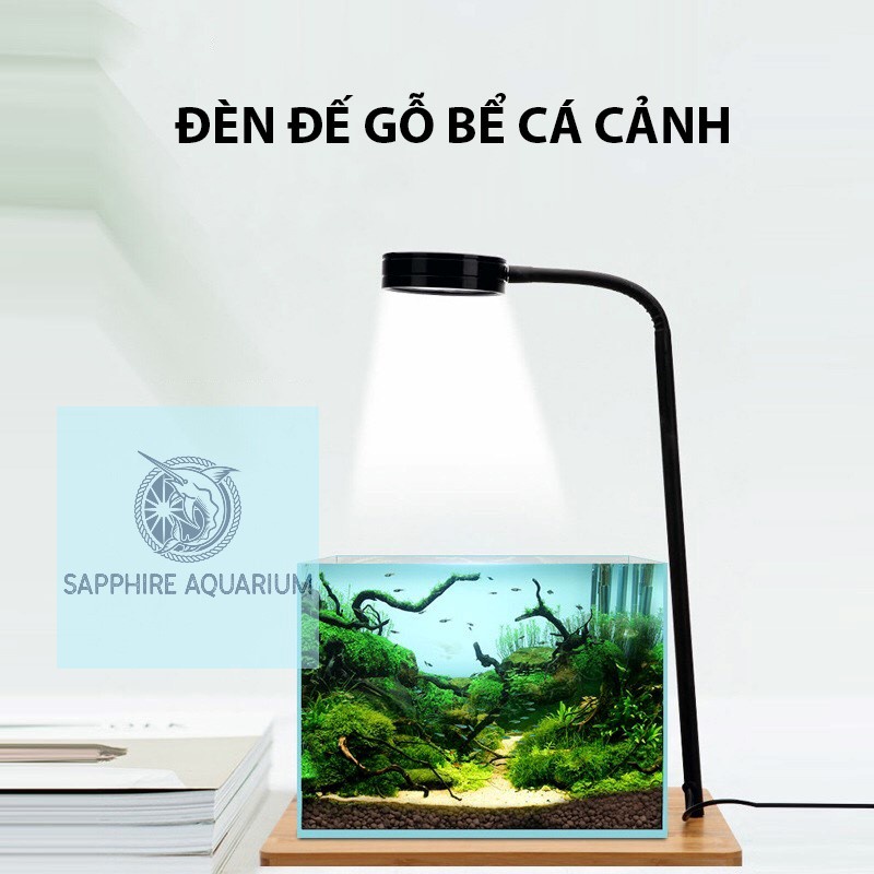 Đèn Đế Gỗ Bể Cá Bể Cá Cảnh Bể Thuỷ Sinh