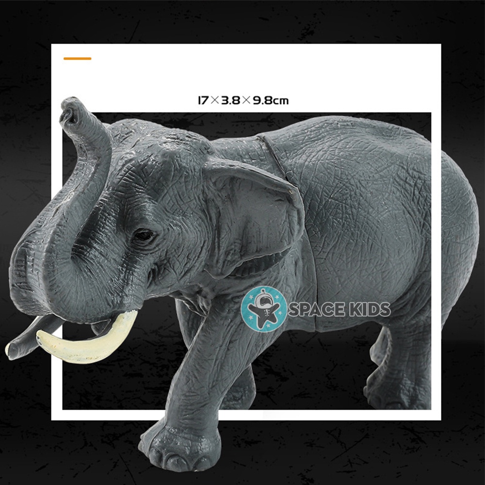 Đồ chơi mô hình con vật 58 chi tiết cho bé khám phá thế giới, bộ thế giới động vật