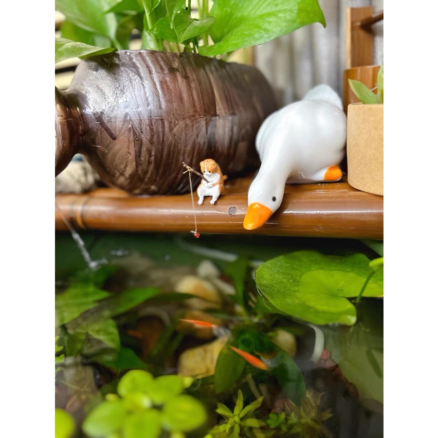 Chú Mèo  câu cá cực dễ thương, đáng yeu trang trí hồ cá, thủy sinh, để bàn làm việc TN2