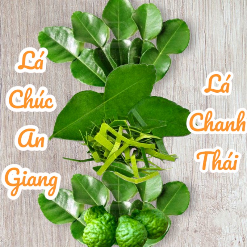 Lá Chúc Tươi - Lá Chanh Thái An Giang- (1kg) -( Hàng lựa từng lá)