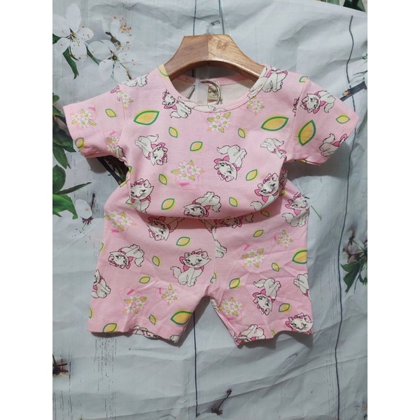 Bộ hình bozip bé