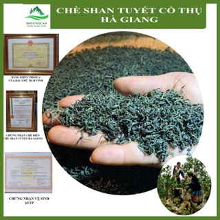 Chè Shan Tuyết Cổ Thụ Hà Giang - Hàng Loại 1