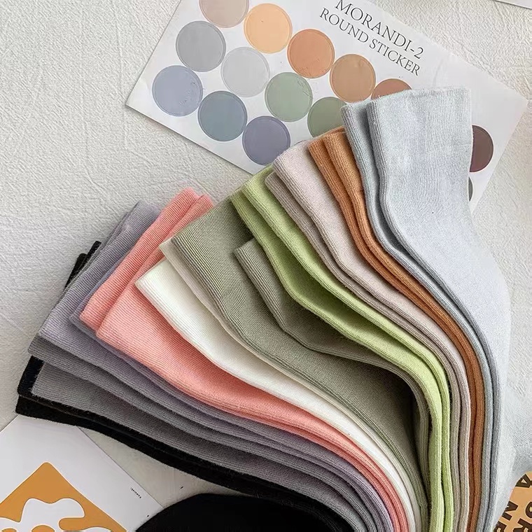 Vớ cotton Hàn Quốc Màu Sắc Đơn Giản Cho Nữ