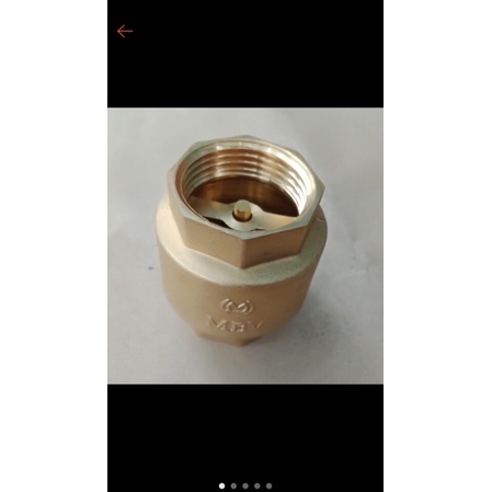 van 1 chiều lò xo 21-27-34- van lá lật 1 chiều