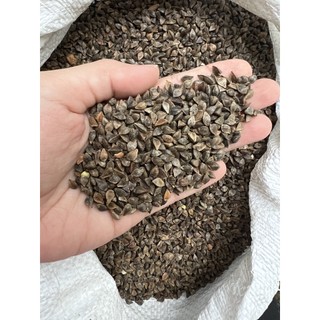 Hạt ba khía cho hamster, vẹt, chim... 500g