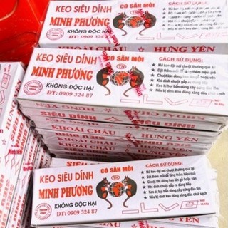 10 miếng keo dính chuột / keo bẫy chuột minh phương