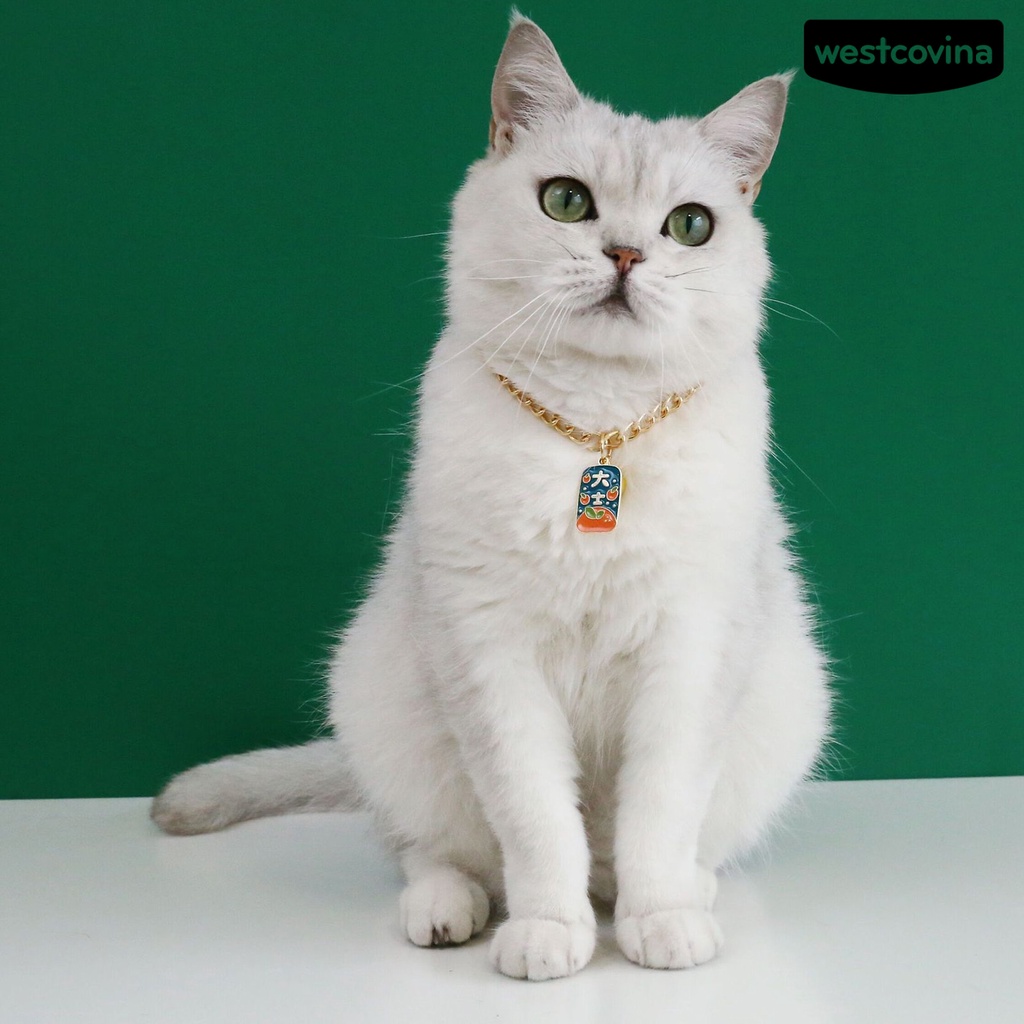 [Hot]♝Vòng Cổ Thú Cưng Mini Thiết Kế Chuông Nhỏ Lấp Lánh Màu Sắc Tươi Sáng Không Gây Dị Ứng