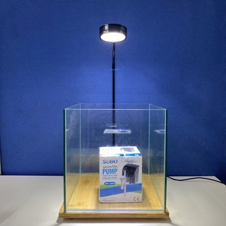 Combo bể thuỷ sinh mini tự setup, bể cá mini, bể cá văn phòng, bể cá để bàn