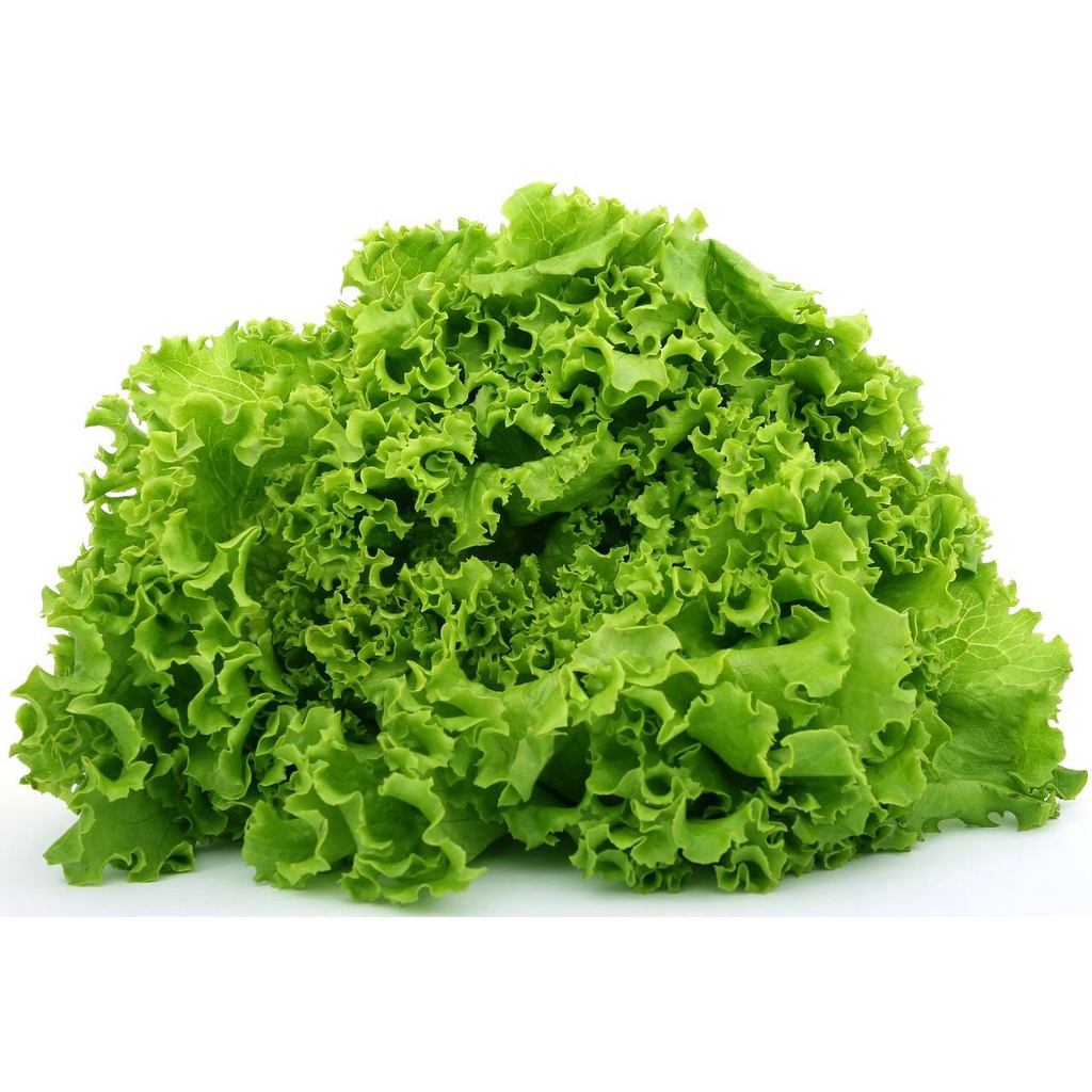 5Gr Hạt Giống Xà Lách Xoan Xanh