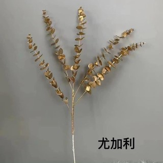 TÁO ĐỒNG 5Nhánh