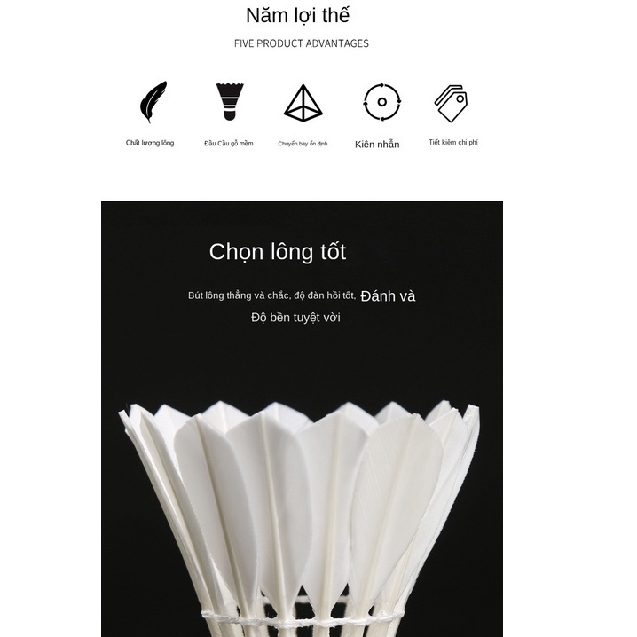 Cầu Lông Thành Công Ba Sao  Cái Tiêu Chuẩn Thi Đấu đào Tạo Bóng để Chơi ổn định Bóng Lông Vịt TTR042