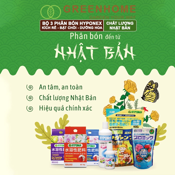 Bộ 3 Phân bón hoà tan Greenhome, hyponex np 15-30-15, 20-20-20, 10-30-20 dành cho cây con đến trưởng thành