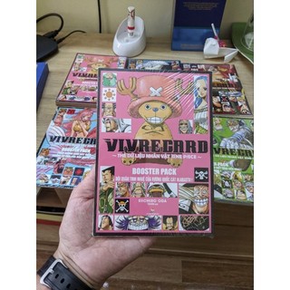 Vivre Card One Piece