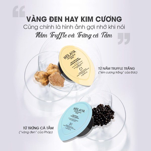 Cặp Mini Dầu Gội Và Xả Phục Hồi Đa Tầng Nấm Truffle 14ml, Phục Hồi Tóc Khô Xơ, Weilaiya White Truffle - Gazumi Beauty